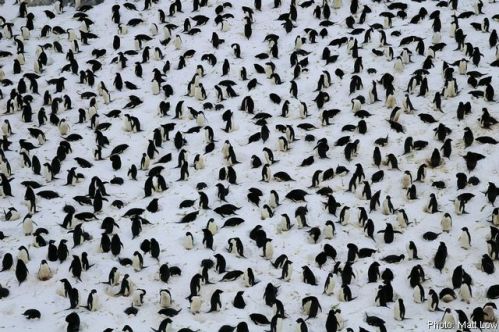 Sure as s**t beats Where's Wally?...