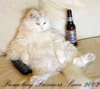 What all people aspire to.