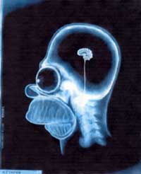 One day, I hope to be as intellifant as this.