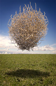 It makes sense at the end. Keep reading.